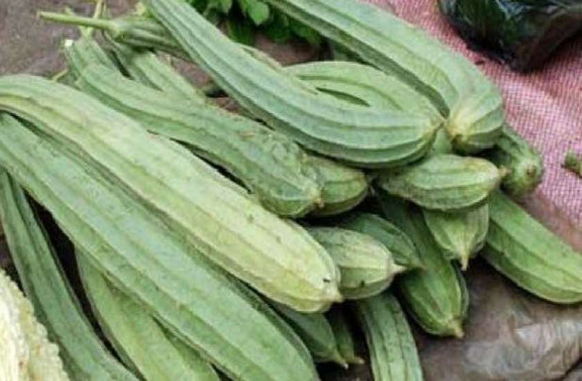 तोरई तोरई
