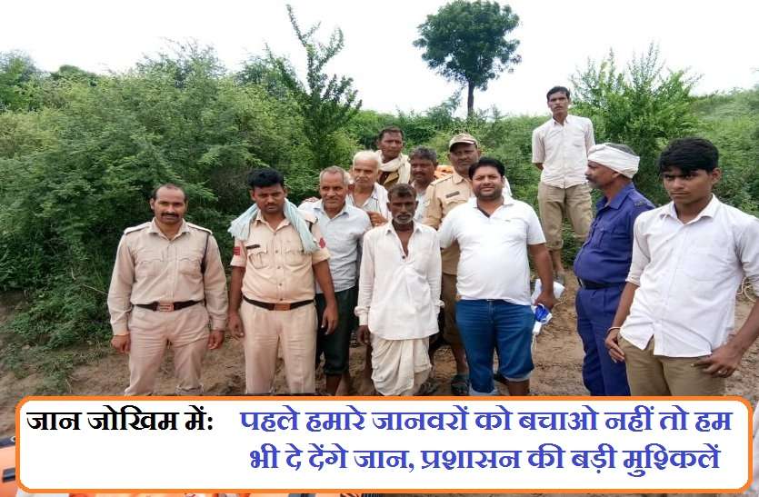 sheopur police जान जोखिम में: पहले हमारे जानवरों को बचाओ नहीं तो हम भी दे देंगे जान, प्रशासन की बड़ी मुश्किलें