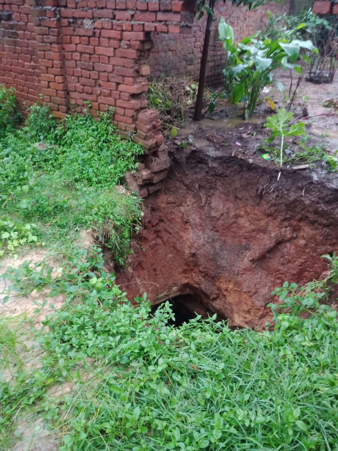shahdol