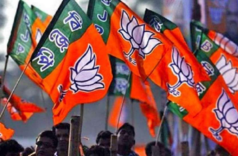 bjp बीजेपी विधायक ने लोकसभा चुनाव लड़ने के दिए संकेत