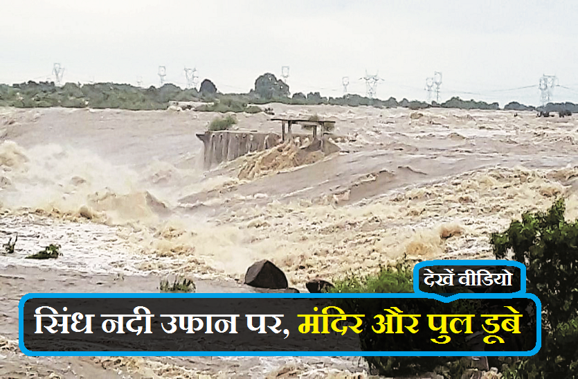 sindh river in mp बड़ी खबर : सिंध नदी उफान पर, मंदिर और पुल डूबे, देखें वीडियो
