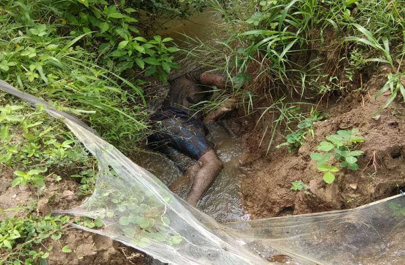 Chhattisgarh Crime, Jnjgir-Champa, Jnjgir-Champa news, Crime news, Dead body found मछुआरे की नाले में मिली लाश, क्षेत्र में फैली सनसनी