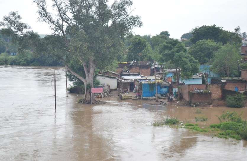 Flood situation in katni इस जिले में नदी उफान पर, निचली बस्तियों घुसा पानी, मकानों को कराया खाली, देखें वीडियो