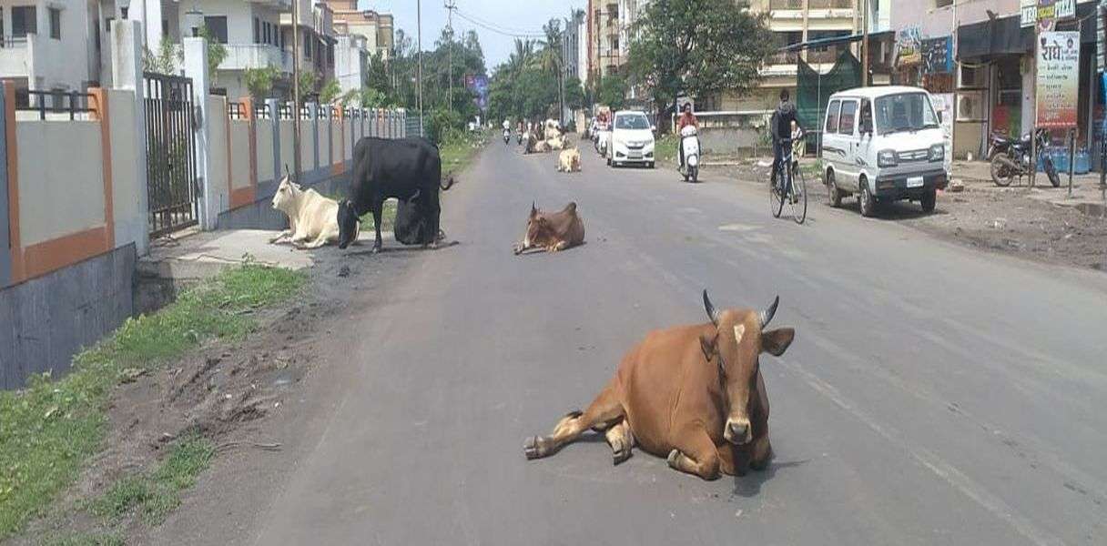 patrika