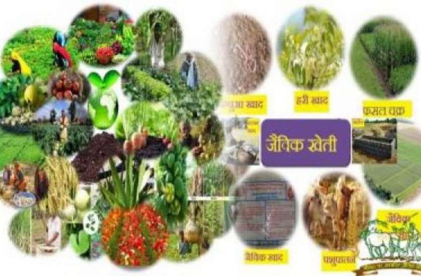 patrika ‘जैविक उत्पादों का उपयोग कर जीए सुरक्षित जीवन’