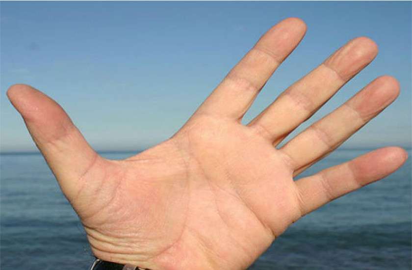 palm color