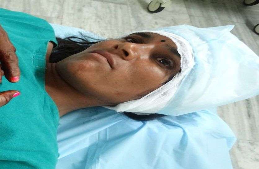sirohi भालुओं के दो हमलों में तीन घायल