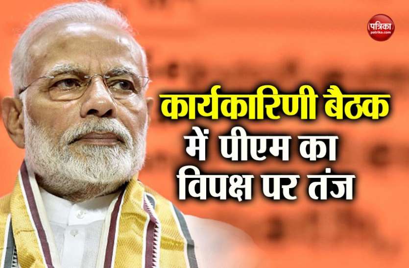 pm modi राष्ट्रीय कार्यकारिणी बैठक में पीएम मोदी बोले- महागठबंधन की नीति अस्पष्ट और नीयत भ्रष्ट