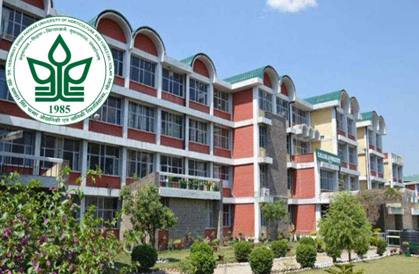 YSP University Junior research fellow सीनियर रिसर्च फेलो, जूनियर रिसर्च फेलो के पदाें पर निकली वैकेंसी, करें आवेदन