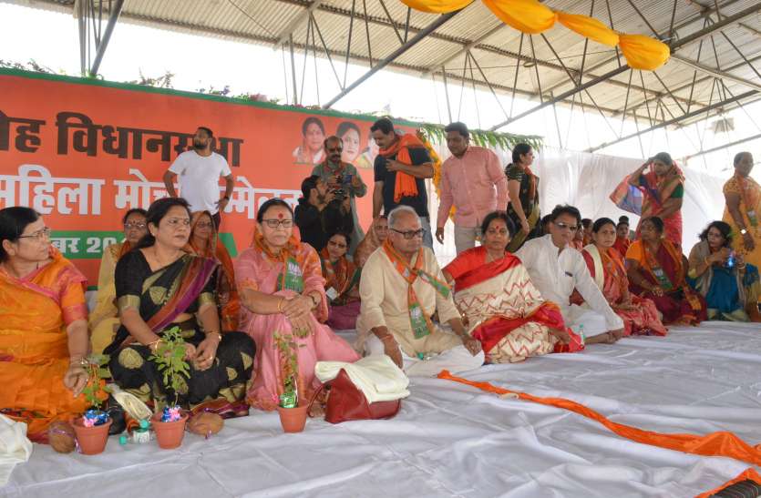 Number of women in BJP rising party भाजपा की रीति-नीति के कारण ही बढ़ रही पार्टी में महिलाओं की संख्या, और ये भी कही खास बात