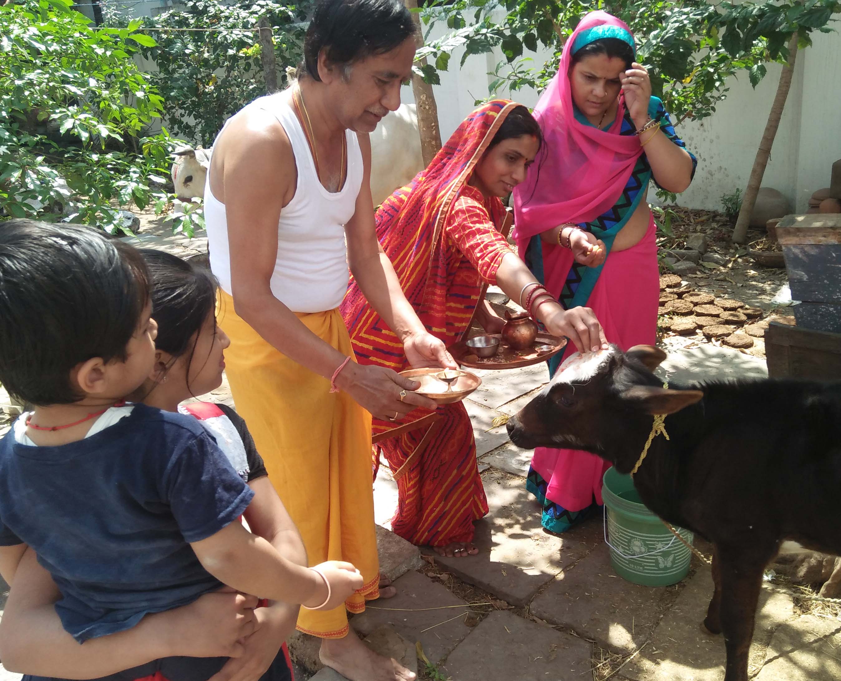crime news seoni गौ-वत्स द्वादषी पर करें गाय का पूजा, होगा यह फायदा