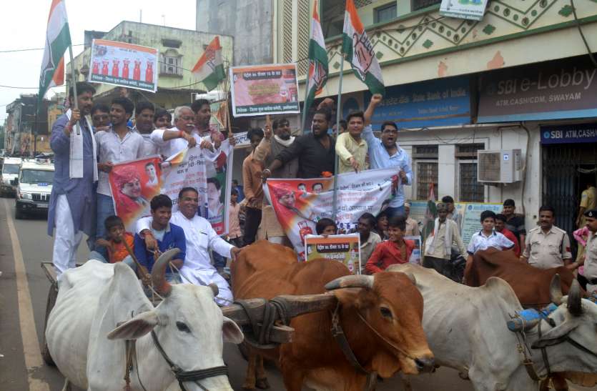 अशोकनगर न्यूज बाजार बंद कराने बैलगाड़ी लेकर निकले कांग्रेसी