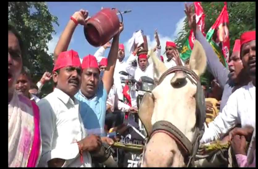 sp सपा के इस नेता ने किया अनोखा विरोध प्रदर्शन, देखते ही लोग रह गए दंग