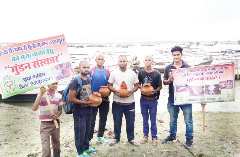 Cows death Youth Congress worker returned from Allahabad गायों की मौत का क्रियाकर्म कराकर इलाहाबाद से लौटे युवक कांग्रेस कार्यकर्ता