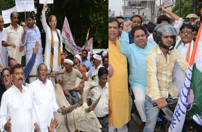 protest भारत बंद: विरोध प्रदर्शन में बैलगाड़ी से आईं अन्नू टंडन तो बाइक से पहुंचे राजीव शुक्ला