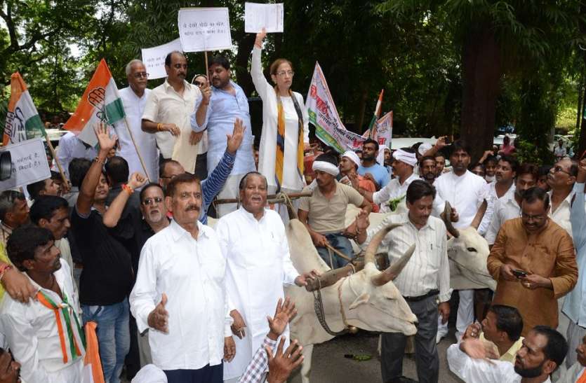 congress भारत बंद में कांग्रेस ने दिखाई अपनी ताकत, सपा-बसपा समेत कई दलों का मिला साथ