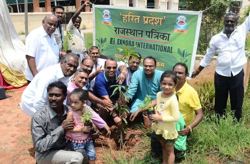 Trees,Generations,plantation, आने वाली पीढ़ी को कुछ देना है तो पेड़ लगाएं