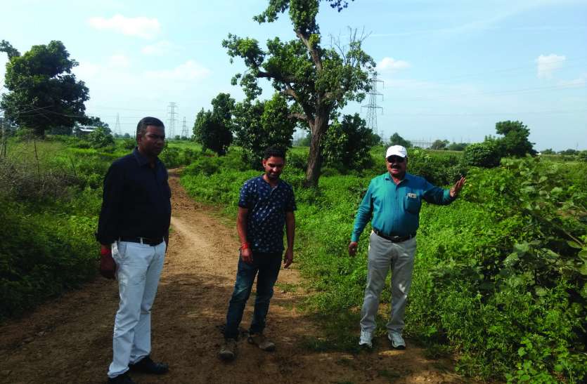 scientific way to waste will be execute in Jilwani, itarsi, जिलवानी में वैज्ञानिक तरीके से होगा कचरे का निष्पादन