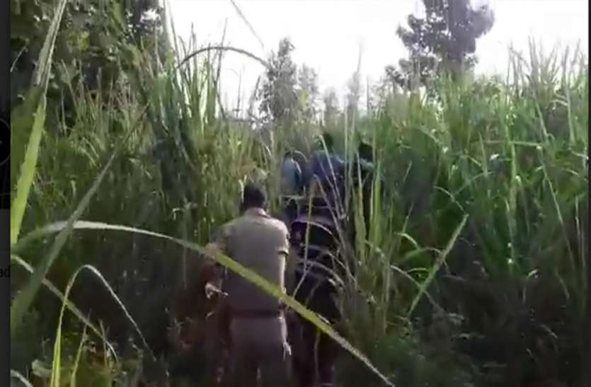 lakhimpur kheri पुलिस मुठभेड़ के दौरान 7 बदमाश गिरफ्तार, एक गोली लगने से घायल