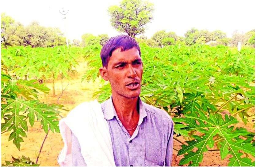 sikar kisan