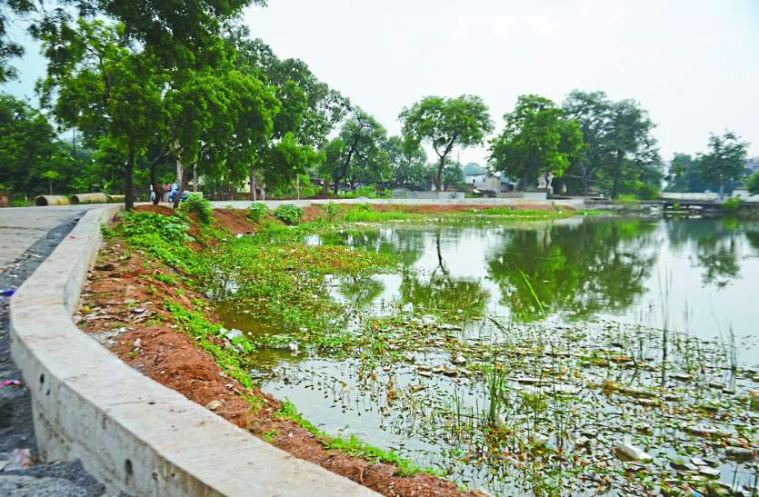 polluted pond सीमेंट कांक्रीट से बंद हुआ बारिश का पानी आने का रास्ता, गंदगी इतनी की तालाब बना डबरी