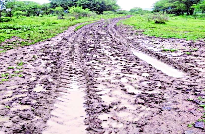 system कातलवाही में सड़कों का बुरा हाल, कीचड़ से लथपथ