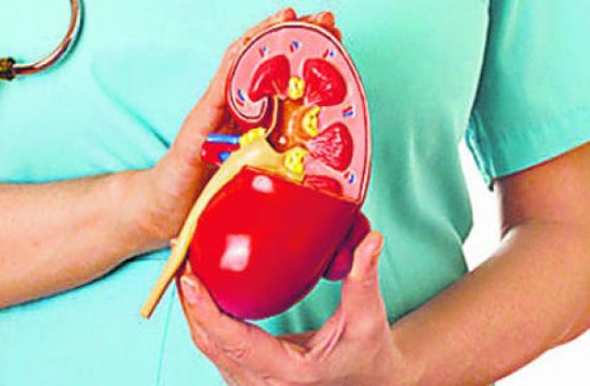 seven-habits-responsible-for-kidney-diseases