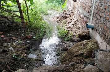 dengue dengue