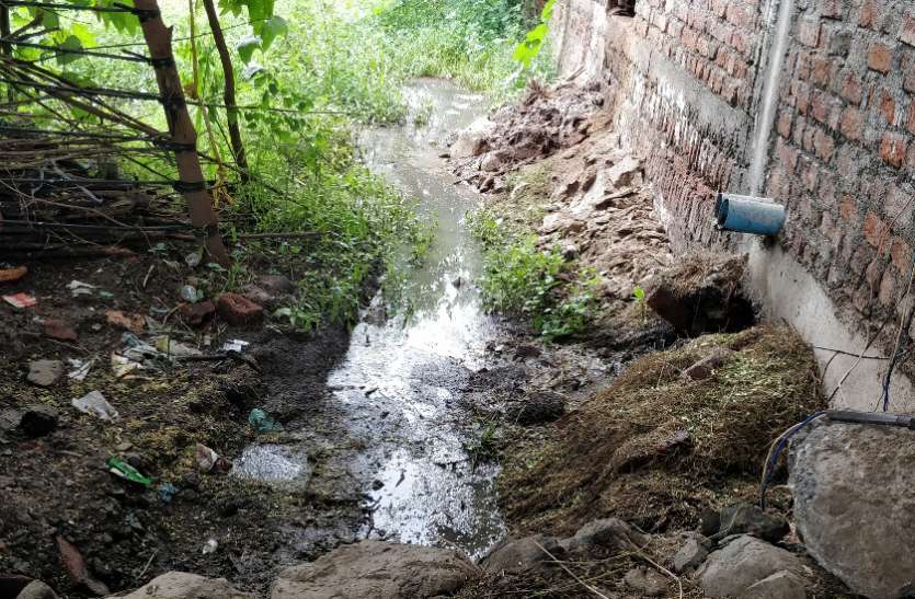 dengue हर दूसरे घर में बुखार पीडि़त