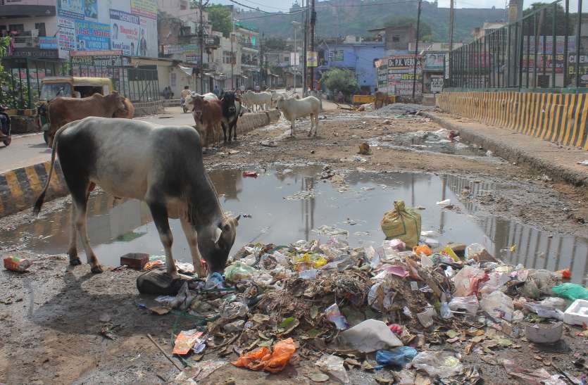 cleanliness गंदगी से पटा अटलजी का शहर, अफसरों ने लगाया मोदी के स्वच्छता अभियान को पलीता