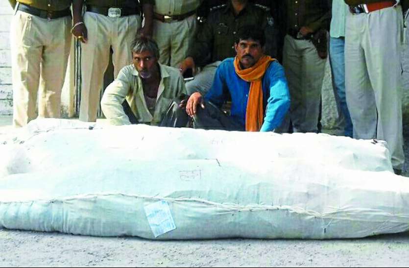 ganja ki kheti kaha hoti hai घर के आंगन में लहलहा रहे थे गांजे के पेड़, पुलिस को मुखबिर ने दी सूचना, फिर जानिए क्या हुआ