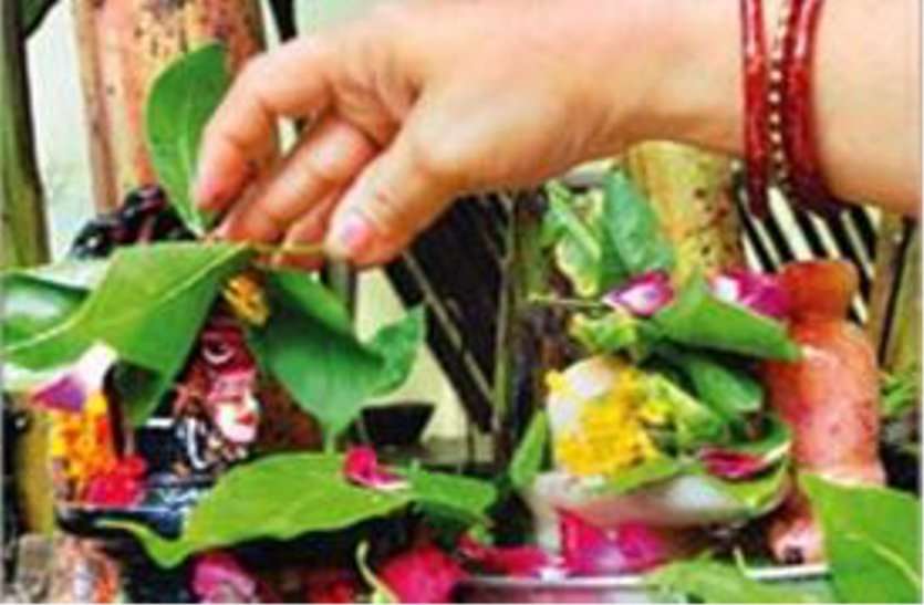patrika हरितालिका तीज : सुख-समृद्धि और मनचाहे वर के लिए ऐसे करें यह व्रत