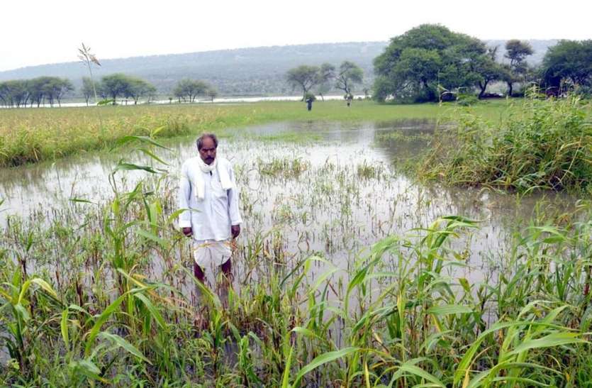 patrika वेस्टवेयर की ऊंचाई बढ़ाने से तालाब के समीप स्थित खेतों में घुसा पानी, फसलें हुई खराब