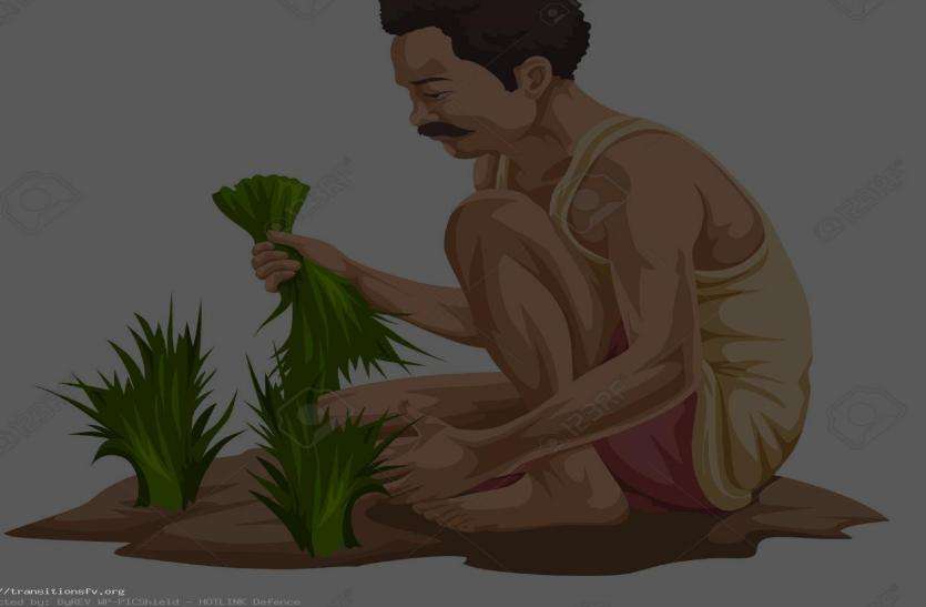 sikar तीन हजार हेक्टेयर में होगी जैविक खेती