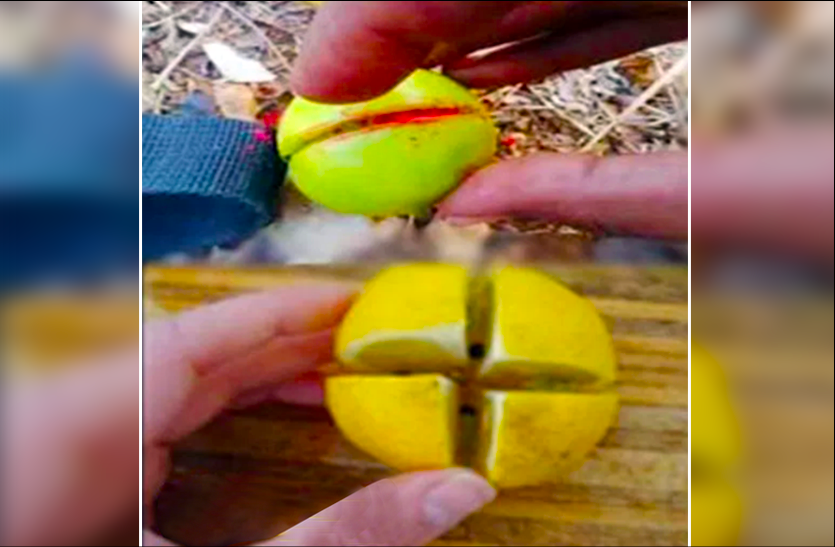 lemon mantra एक नींबू के चार टुकड़े करके चुपचाप यहां फेंक दें, इतना आयेगा पैसा की संभाल नहीं पाओगे