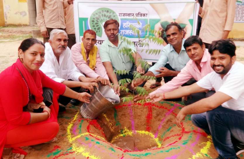 Applying Plant Upgradation पौधे लगाकर करें परवरिश