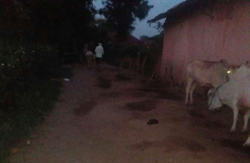 balaghat news वोट मिलने के बाद मतदाताओं को भूले माननीय
