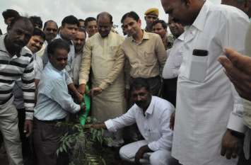 MPs'om birla plantation of greenery Dabi mining MPs'om birla plantation of greenery Dabi mining