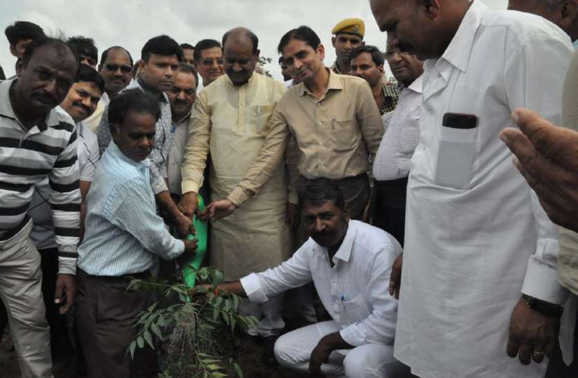 MPs'om birla plantation of greenery Dabi mining सांसद ने किया 'हरियाली' का रोपण...