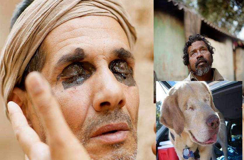 city of the blinds not only human birds and animals are also blind अंधों की नगरी! इंसान ही नहीं यहां पशु-पक्षी भी हैं अंधे, एक 'पेड़' है इसके पीछे की वजह