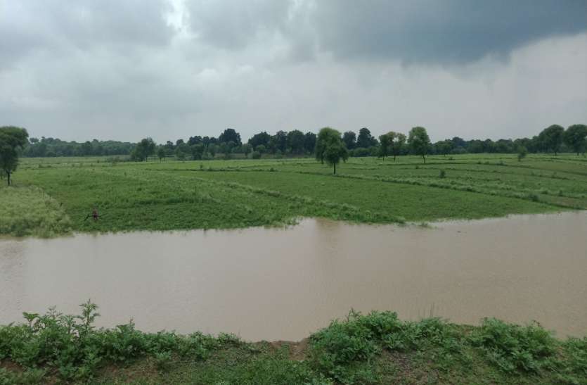 chitrakoot बाढ़ के कारण फसल हुई नष्ट, ग्रामीण हुए परेशान