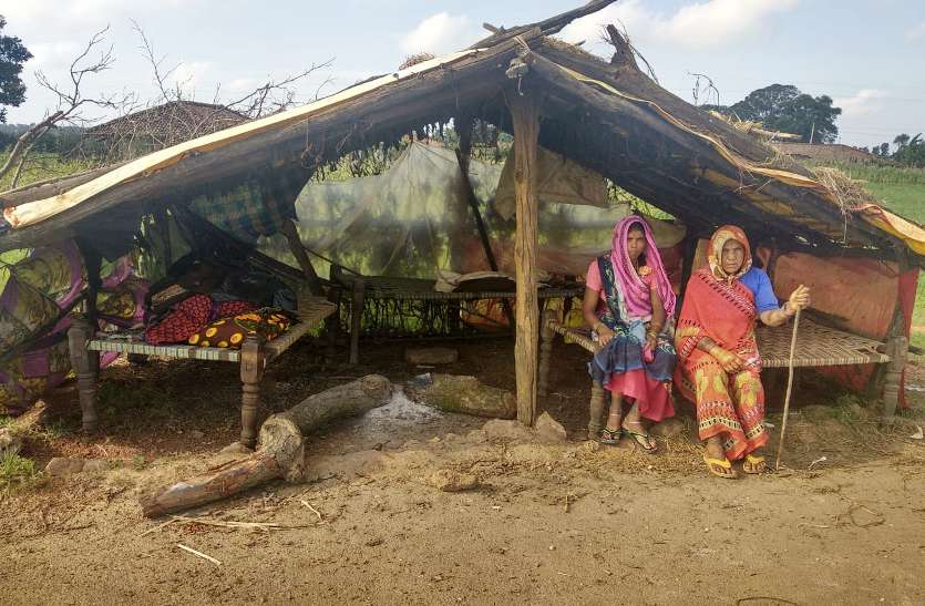 Chhattisgarh news हाथियों ने इन 10 परिवार का ऐसा किया हाल कि पेड़ के नीचे कर रहे गुजारा, सबने थमाया आश्वासन का पिटारा