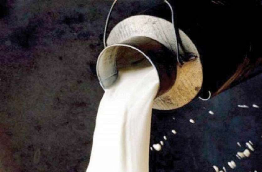 in this agra village selling milk is considered sin इस गांव के हर घर में है गाय-भैंस, लेकिन दूध का इस्तेमाल करना देता है मौत को दावत! जानिए क्या है मामला...