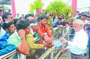 Mung urad crop farmers demanded compensation in rain Mung urad crop farmers demanded compensation in rain