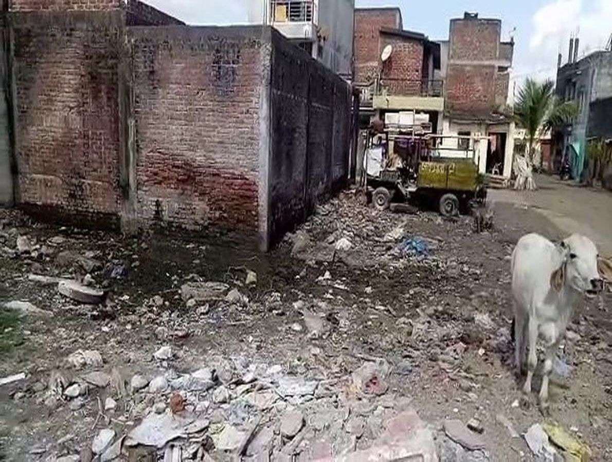 patrika patrika
