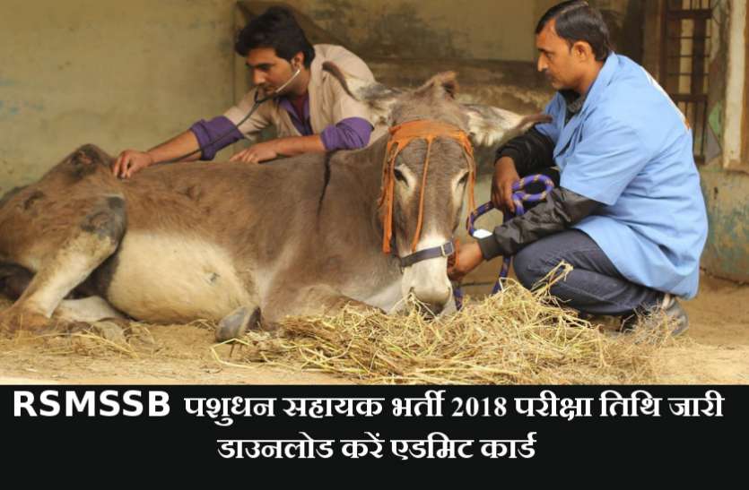 RSMSSB RSMSSB पशुधन सहायक भर्ती 2018 परीक्षा तिथि जारी, यहां से डाउनलोड करें Admit Card