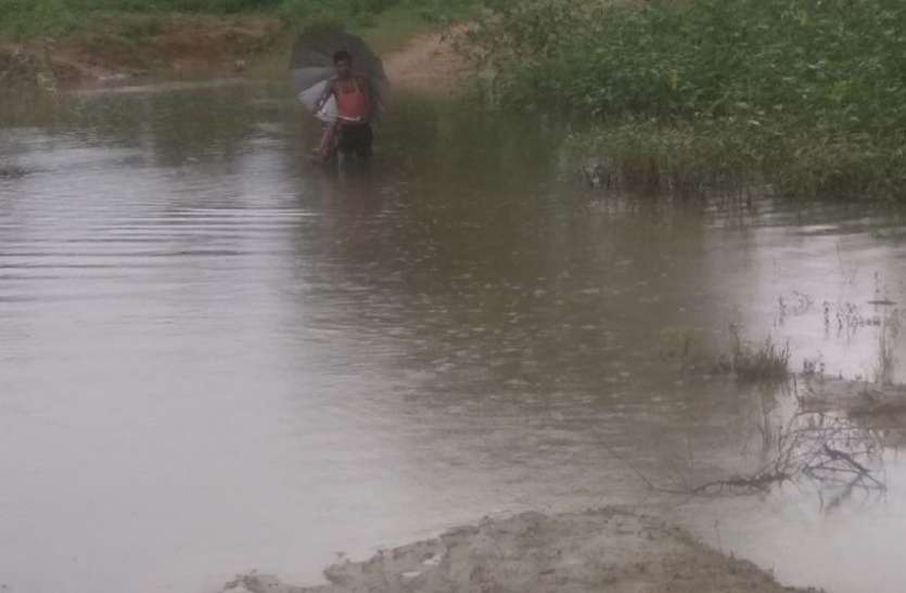 balaghat news न तो तालाब बना न किसानों को मिला फसल बीमा का लाभ