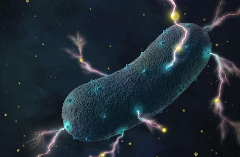 scientists discovered bacteria in human which produces electricity बड़ा खुलासा: हमारे पेट में हैं ऐसे बैक्टीरिया जिनसे बनेगी बिजली, इस छोटी तरकीब से होंगे कई फायदे