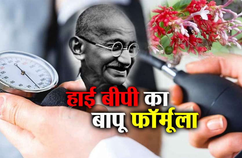 Mahatma Gandhi High Blood Pressure Treatment Formula ब्लड प्रेशर कंट्रोल करने के लिए बापू के पास था बेहतरीन फॉर्मूला, अब मिलेगा आपको इसका फायदा