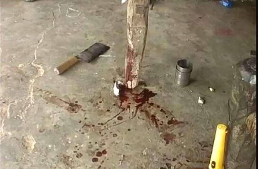 murder डबल मर्डर से दहल गया पूरा जिला, पुलिस फोरेंसिक व एसओजी टीम खुलासे में जुटी, जानिए दर्दनाक हादसा